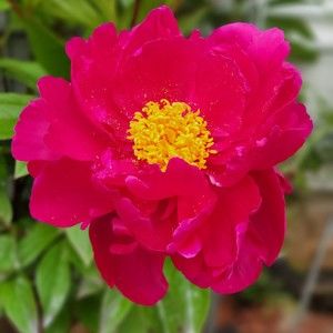 Meet your Posher, Crystal